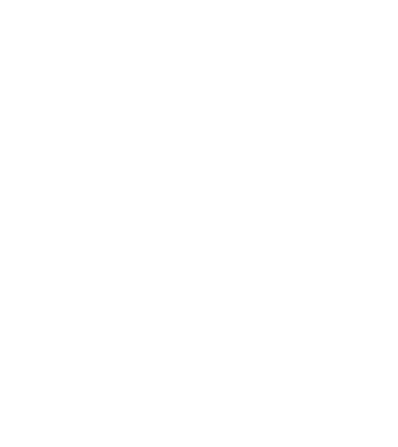 Flidx Logo